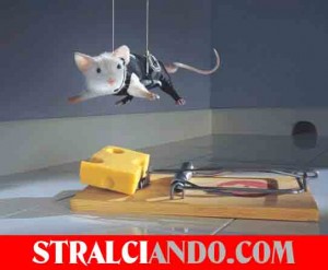 stralci evitare trappole